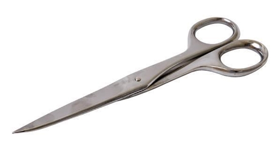 Picture of SCISSORS DUE BUOI