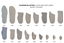 Immagine di PLANTARI LATTICE