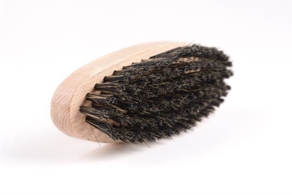 Picture of OVAL BRUSH SC 1006 BRISTLE AND BRASS